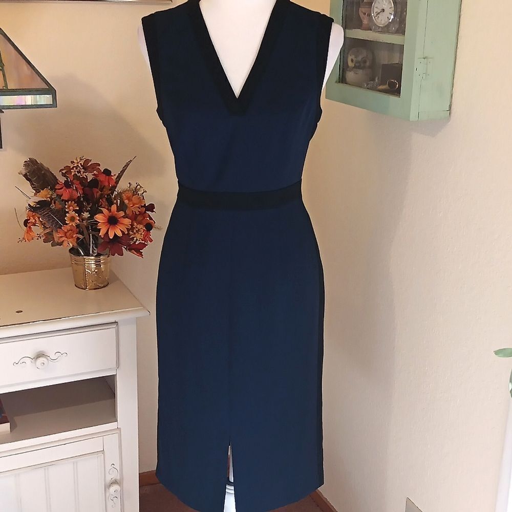 Adrianna Papell Colorblock Perfect Work Dress. Career, Professional
